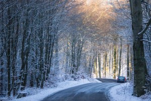 susanne-nilsson_winter-road_ykrjrgm